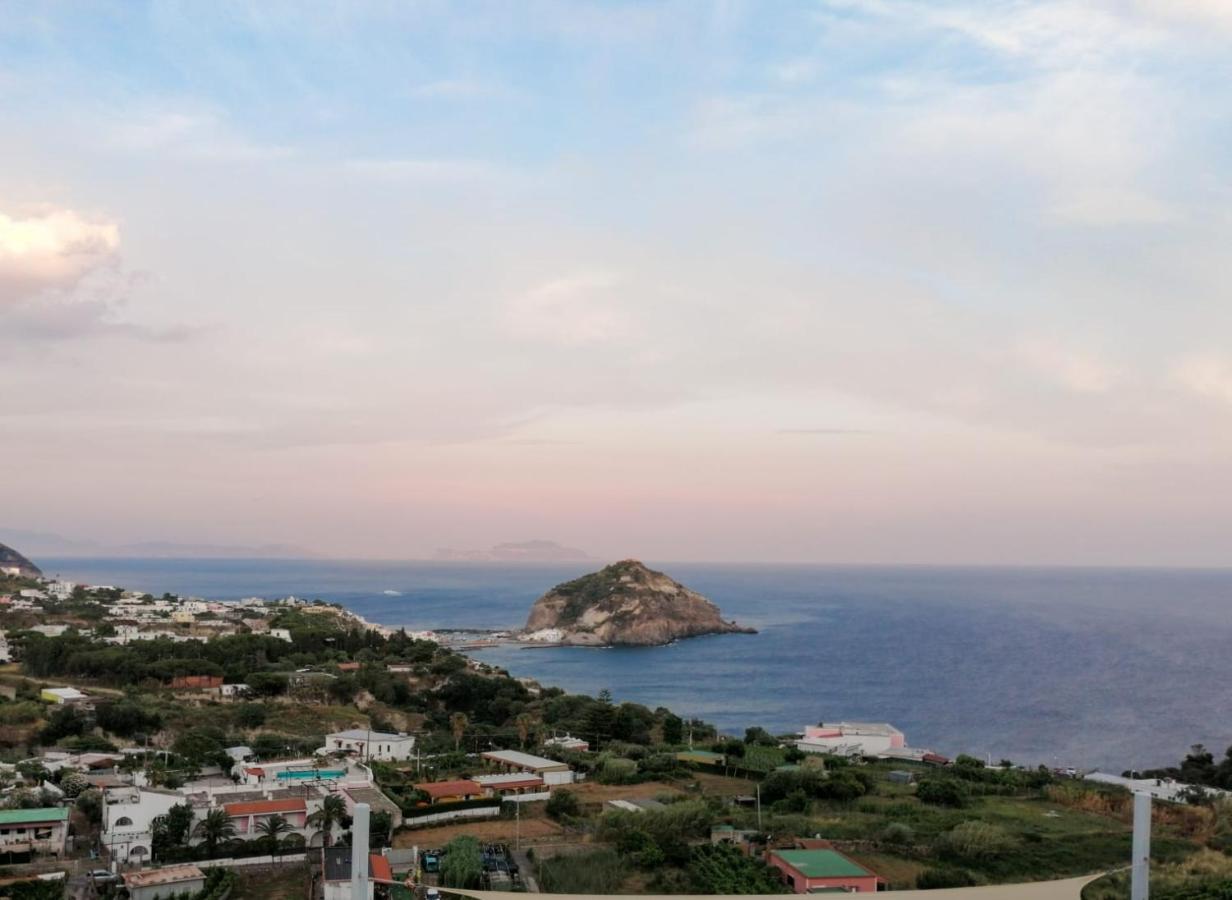 Villa Eleonora, Un Angolo Di Paradiso Ad Ischia Sant'Angelo  Exterior foto