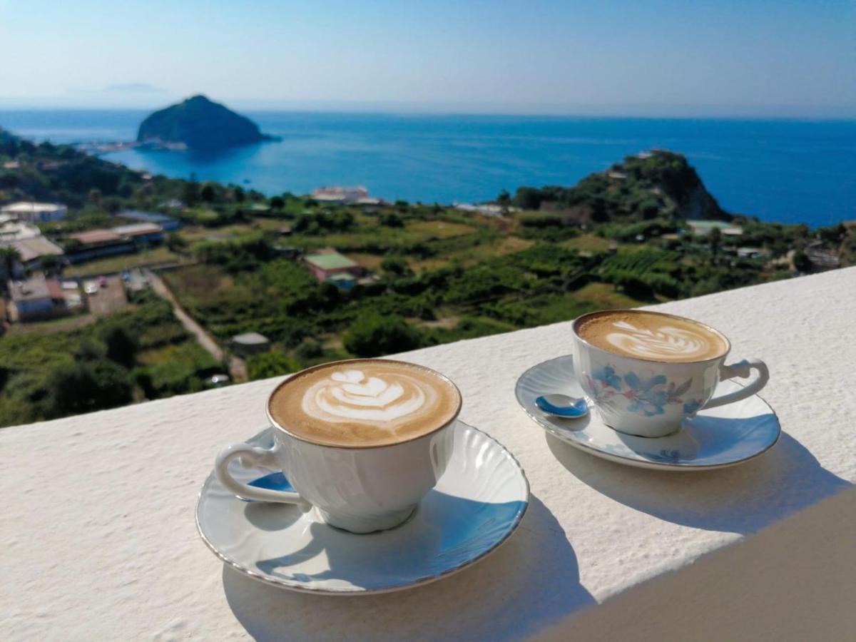 Villa Eleonora, Un Angolo Di Paradiso Ad Ischia Sant'Angelo  Exterior foto