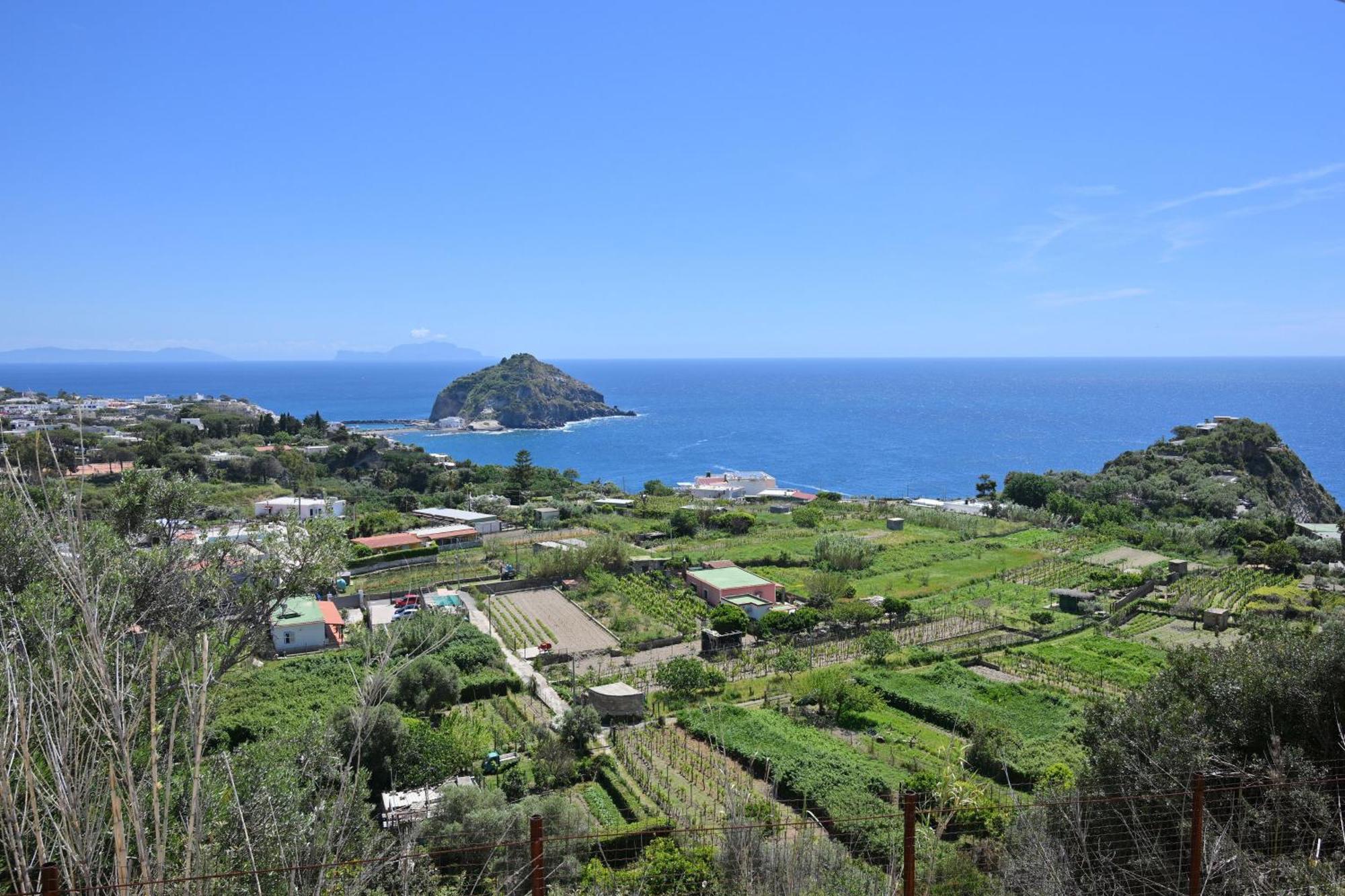 Villa Eleonora, Un Angolo Di Paradiso Ad Ischia Sant'Angelo  Exterior foto