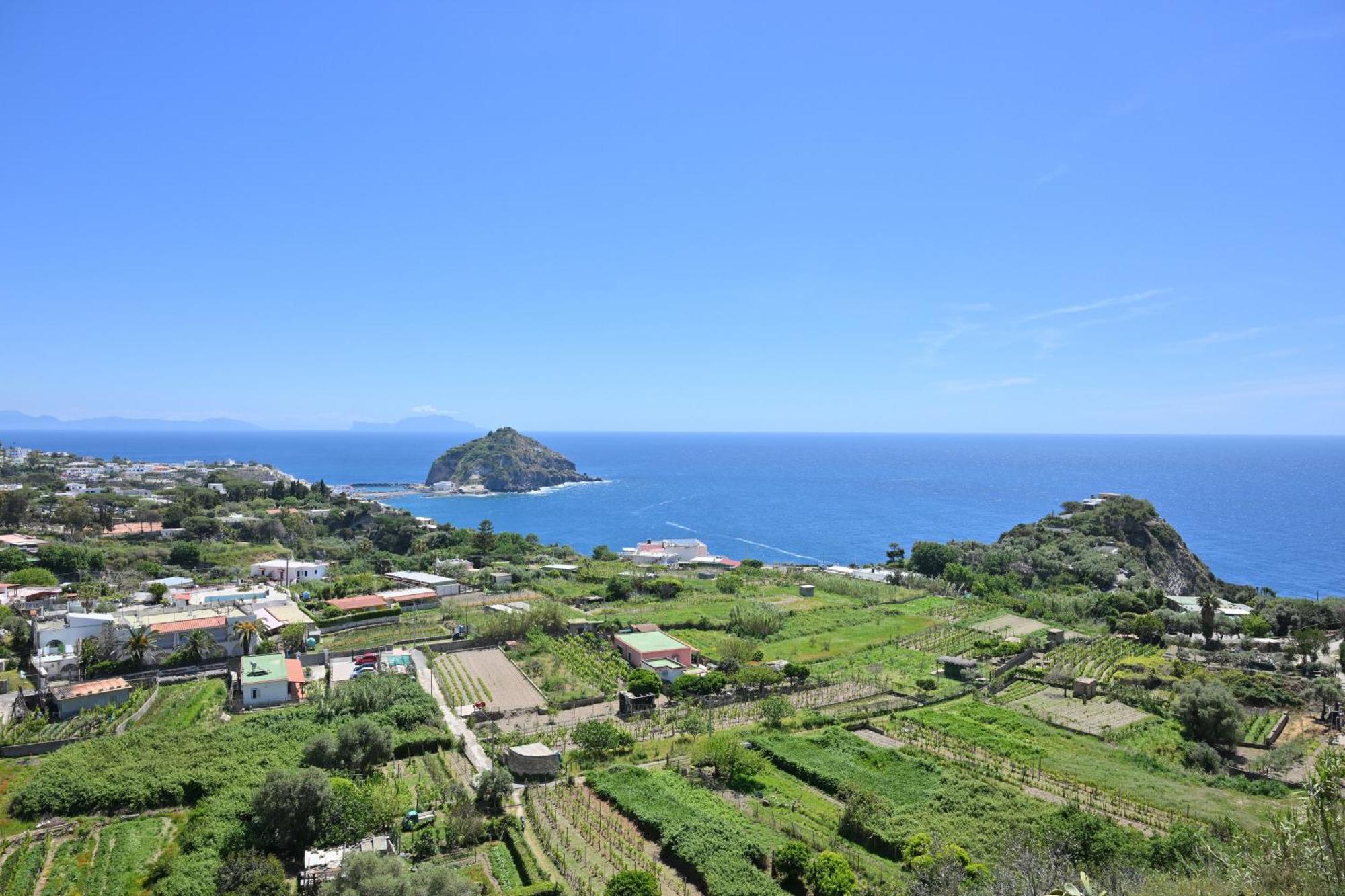 Villa Eleonora, Un Angolo Di Paradiso Ad Ischia Sant'Angelo  Exterior foto