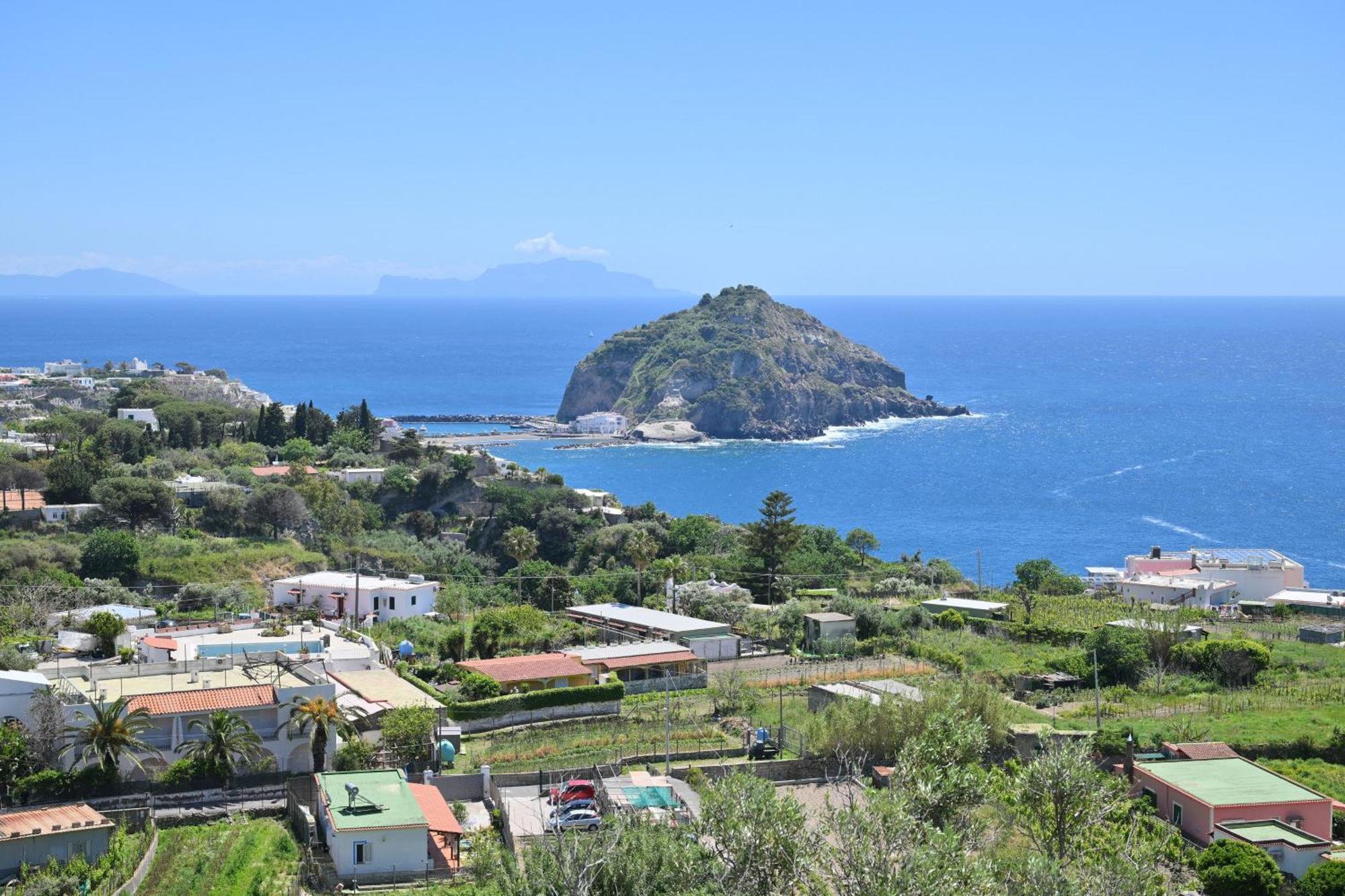 Villa Eleonora, Un Angolo Di Paradiso Ad Ischia Sant'Angelo  Exterior foto