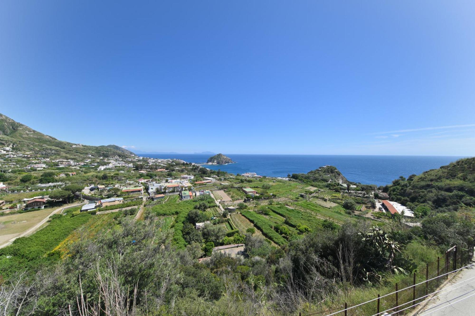 Villa Eleonora, Un Angolo Di Paradiso Ad Ischia Sant'Angelo  Exterior foto