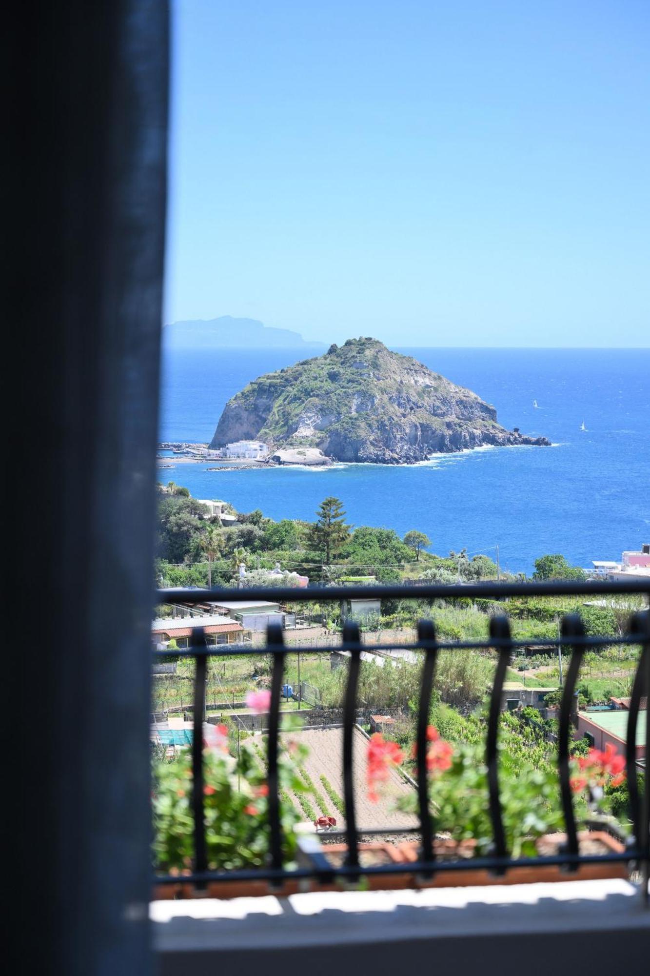 Villa Eleonora, Un Angolo Di Paradiso Ad Ischia Sant'Angelo  Exterior foto