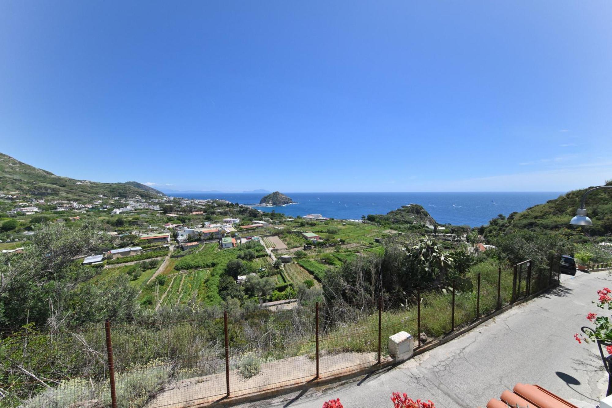 Villa Eleonora, Un Angolo Di Paradiso Ad Ischia Sant'Angelo  Habitación foto