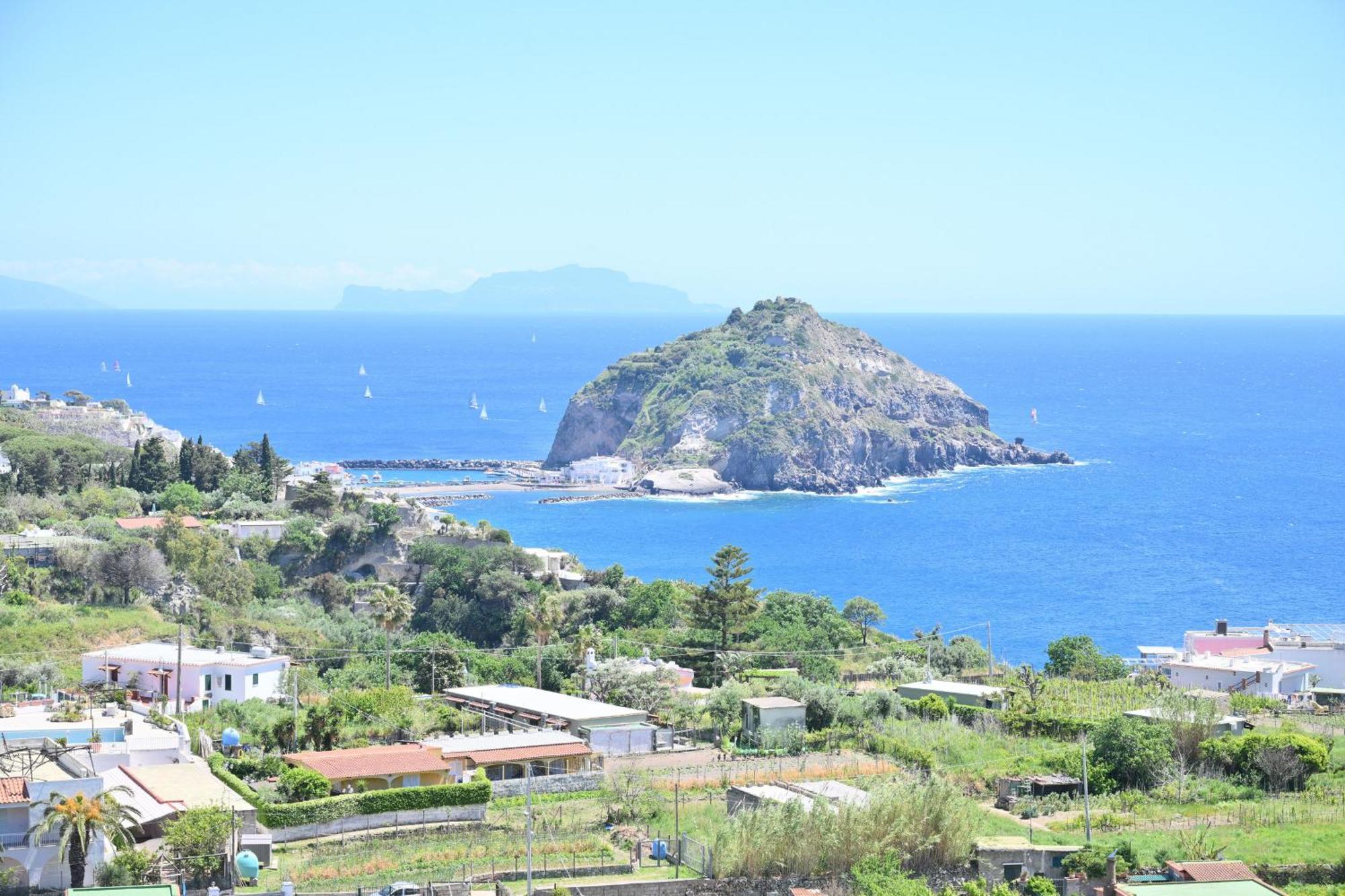 Villa Eleonora, Un Angolo Di Paradiso Ad Ischia Sant'Angelo  Habitación foto