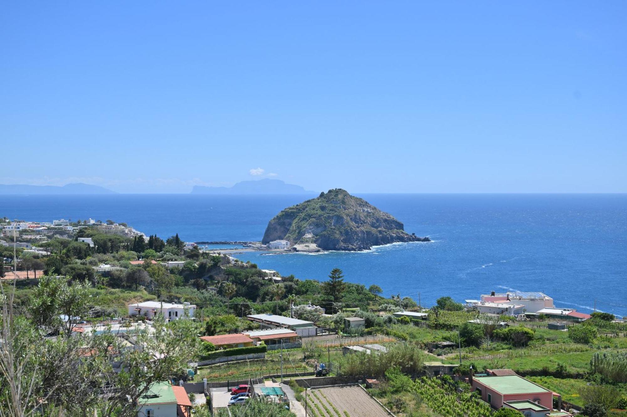 Villa Eleonora, Un Angolo Di Paradiso Ad Ischia Sant'Angelo  Habitación foto